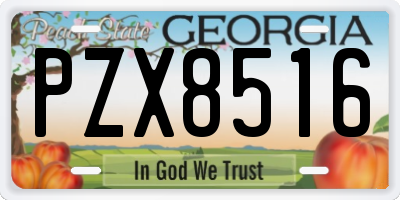 GA license plate PZX8516