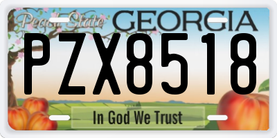 GA license plate PZX8518