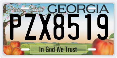 GA license plate PZX8519