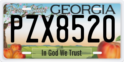 GA license plate PZX8520