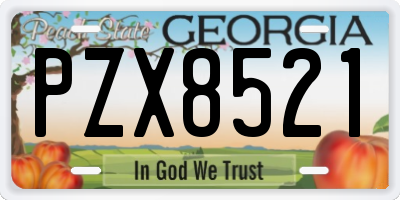 GA license plate PZX8521