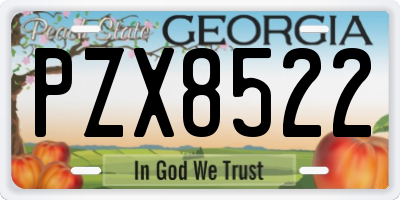 GA license plate PZX8522