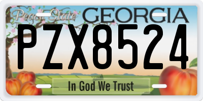 GA license plate PZX8524