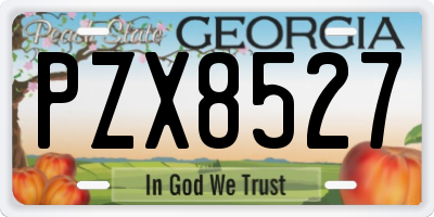 GA license plate PZX8527