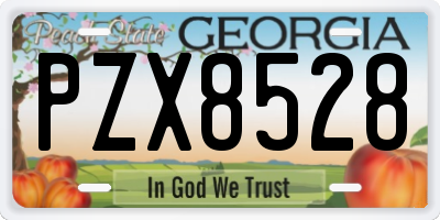 GA license plate PZX8528