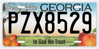 GA license plate PZX8529
