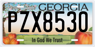 GA license plate PZX8530