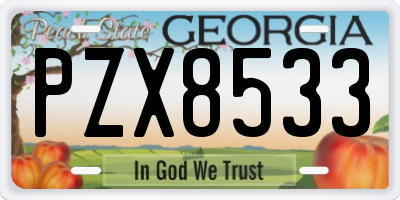 GA license plate PZX8533