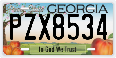 GA license plate PZX8534