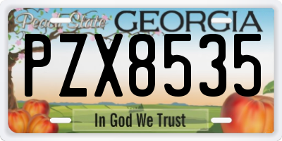 GA license plate PZX8535