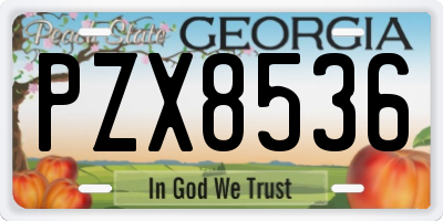 GA license plate PZX8536