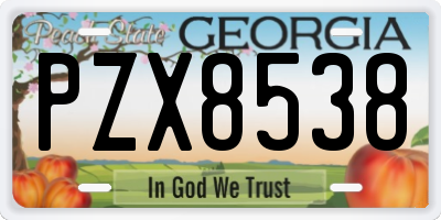 GA license plate PZX8538