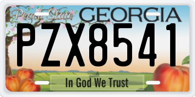 GA license plate PZX8541