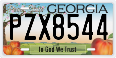 GA license plate PZX8544