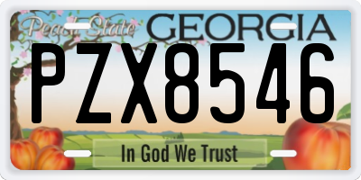 GA license plate PZX8546