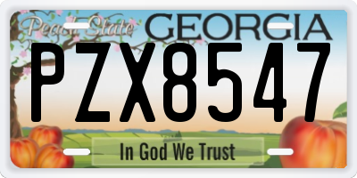 GA license plate PZX8547