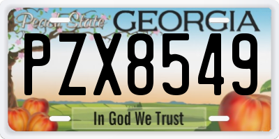 GA license plate PZX8549