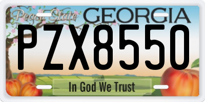 GA license plate PZX8550