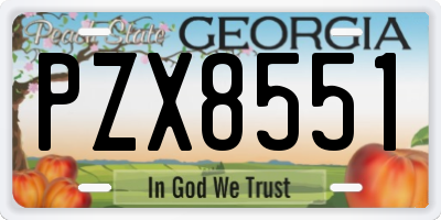 GA license plate PZX8551