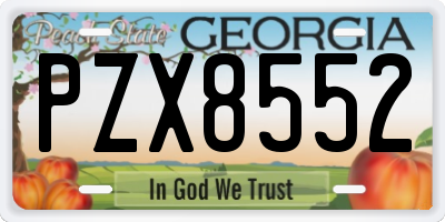 GA license plate PZX8552