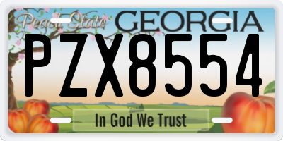 GA license plate PZX8554