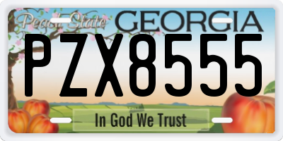 GA license plate PZX8555