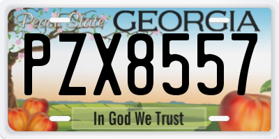 GA license plate PZX8557