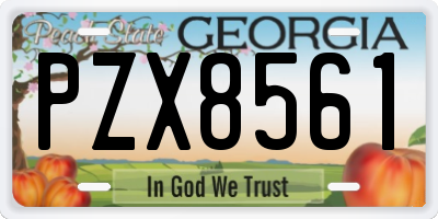 GA license plate PZX8561