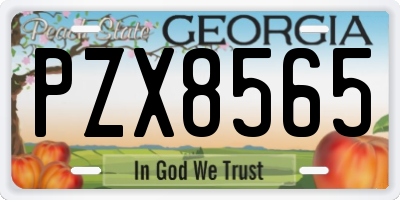 GA license plate PZX8565
