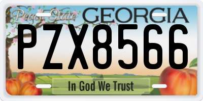 GA license plate PZX8566