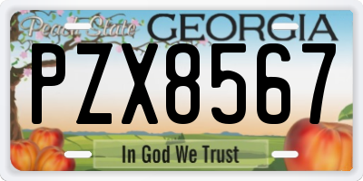 GA license plate PZX8567