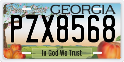 GA license plate PZX8568