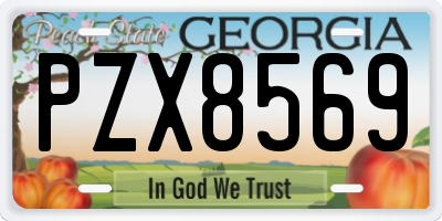 GA license plate PZX8569