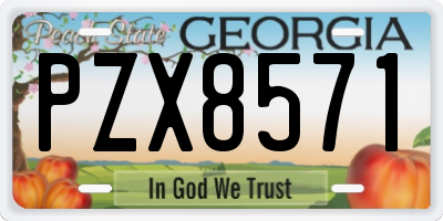 GA license plate PZX8571