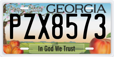 GA license plate PZX8573