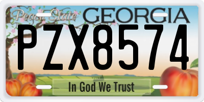 GA license plate PZX8574