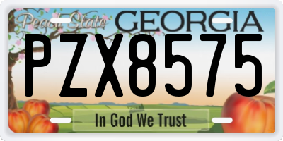 GA license plate PZX8575