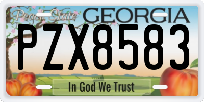 GA license plate PZX8583
