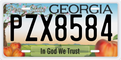 GA license plate PZX8584