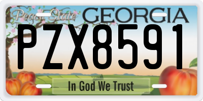 GA license plate PZX8591