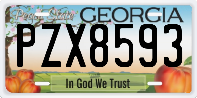 GA license plate PZX8593