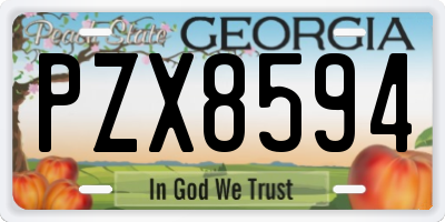 GA license plate PZX8594