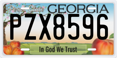 GA license plate PZX8596