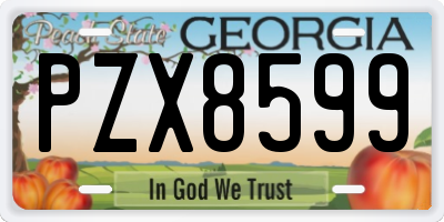 GA license plate PZX8599