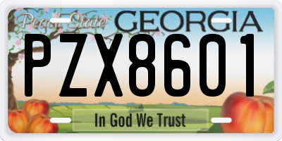 GA license plate PZX8601