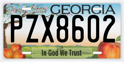 GA license plate PZX8602