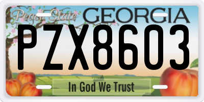 GA license plate PZX8603