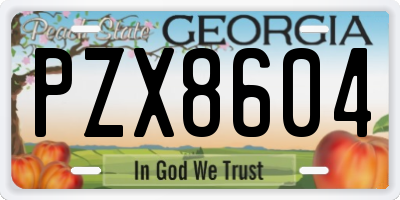 GA license plate PZX8604