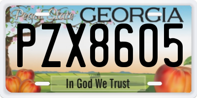 GA license plate PZX8605