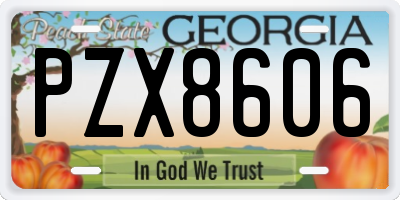 GA license plate PZX8606